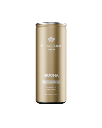 Mocha 12 pack