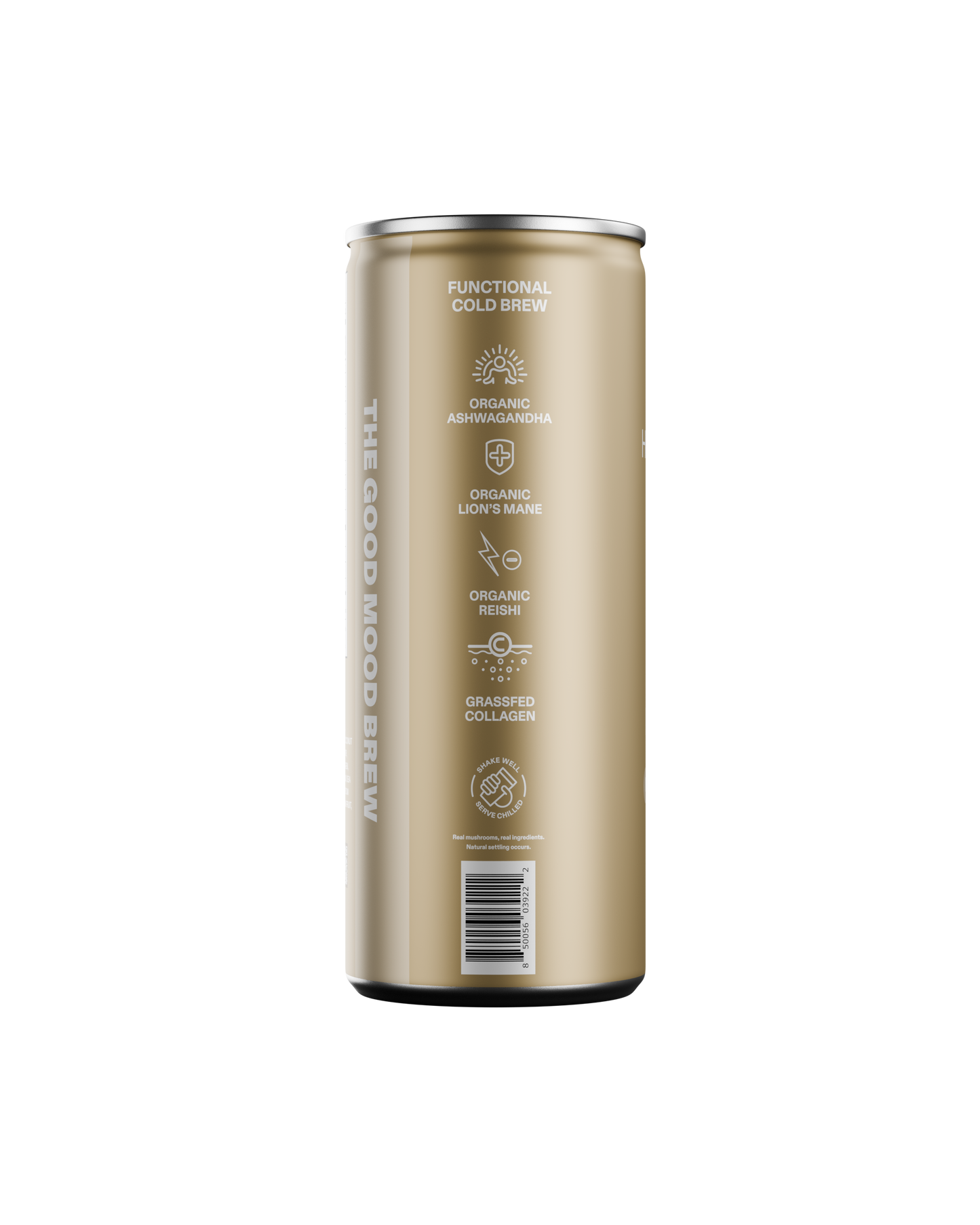 Mocha 12 pack